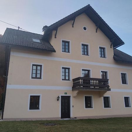 Ferienwohnungen Viktoria Buchegger Grünau im Almtal Εξωτερικό φωτογραφία