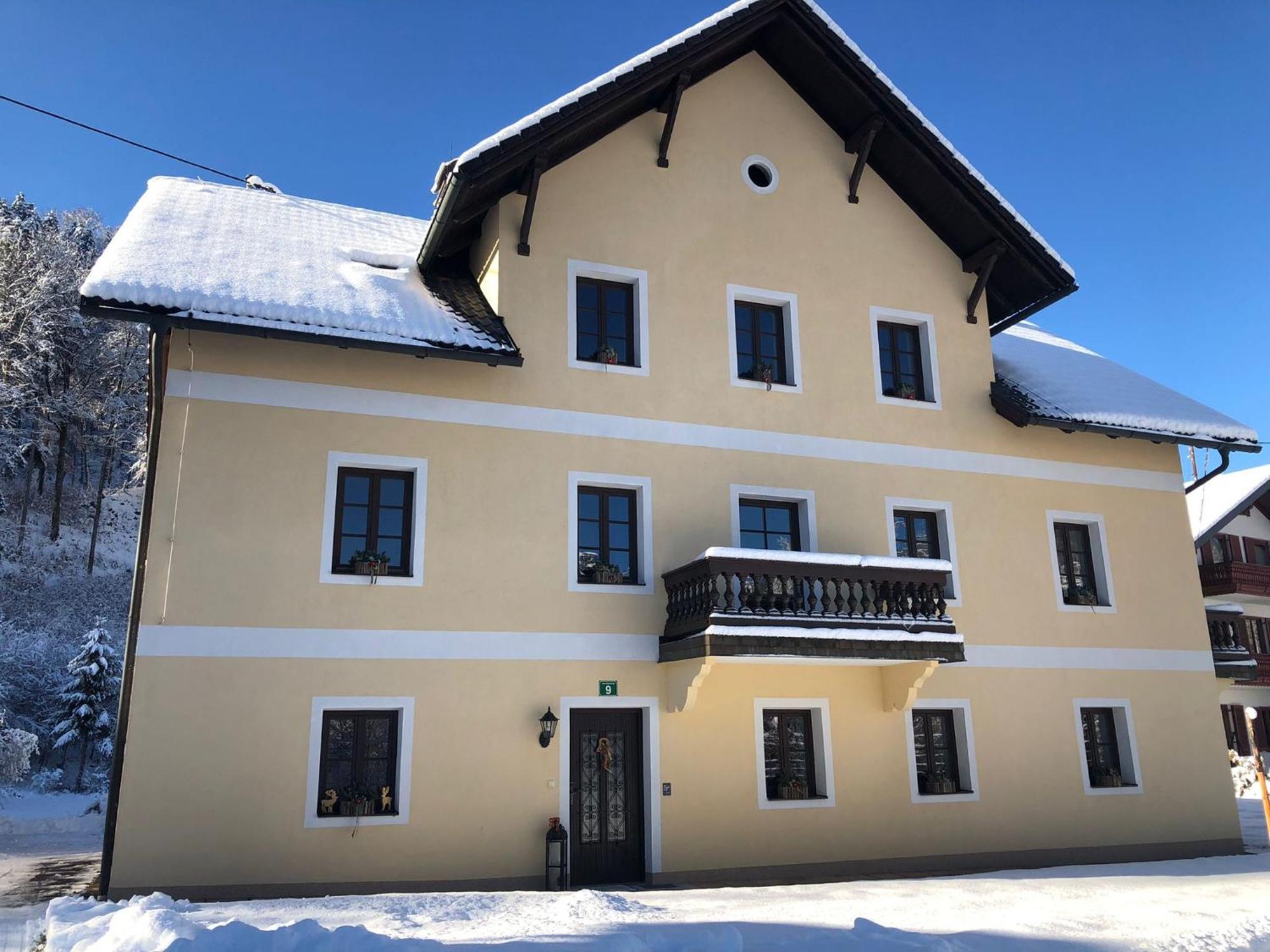 Ferienwohnungen Viktoria Buchegger Grünau im Almtal Εξωτερικό φωτογραφία